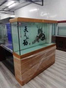 石家庄鱼缸清洗
