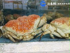 泊来鲜海鲜超市连锁