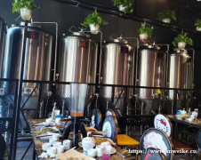 重庆全自动小型精酿啤酒设备火锅店啤酒设备发酵罐