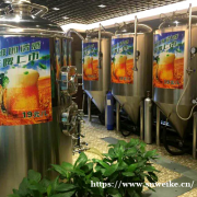 2000升精酿啤酒设备一套多少钱？