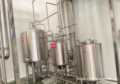 酿造精酿啤酒的机器 产量3000升的啤酒设备价格
