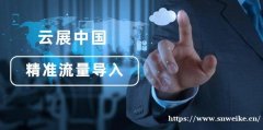 大连全网精准营销,全网搜索首页,AI自动化营销