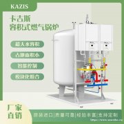 导致电加热蒸汽锅炉蒸汽污染的原因？