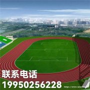 足球场草坪 足球场草坪全国施工
